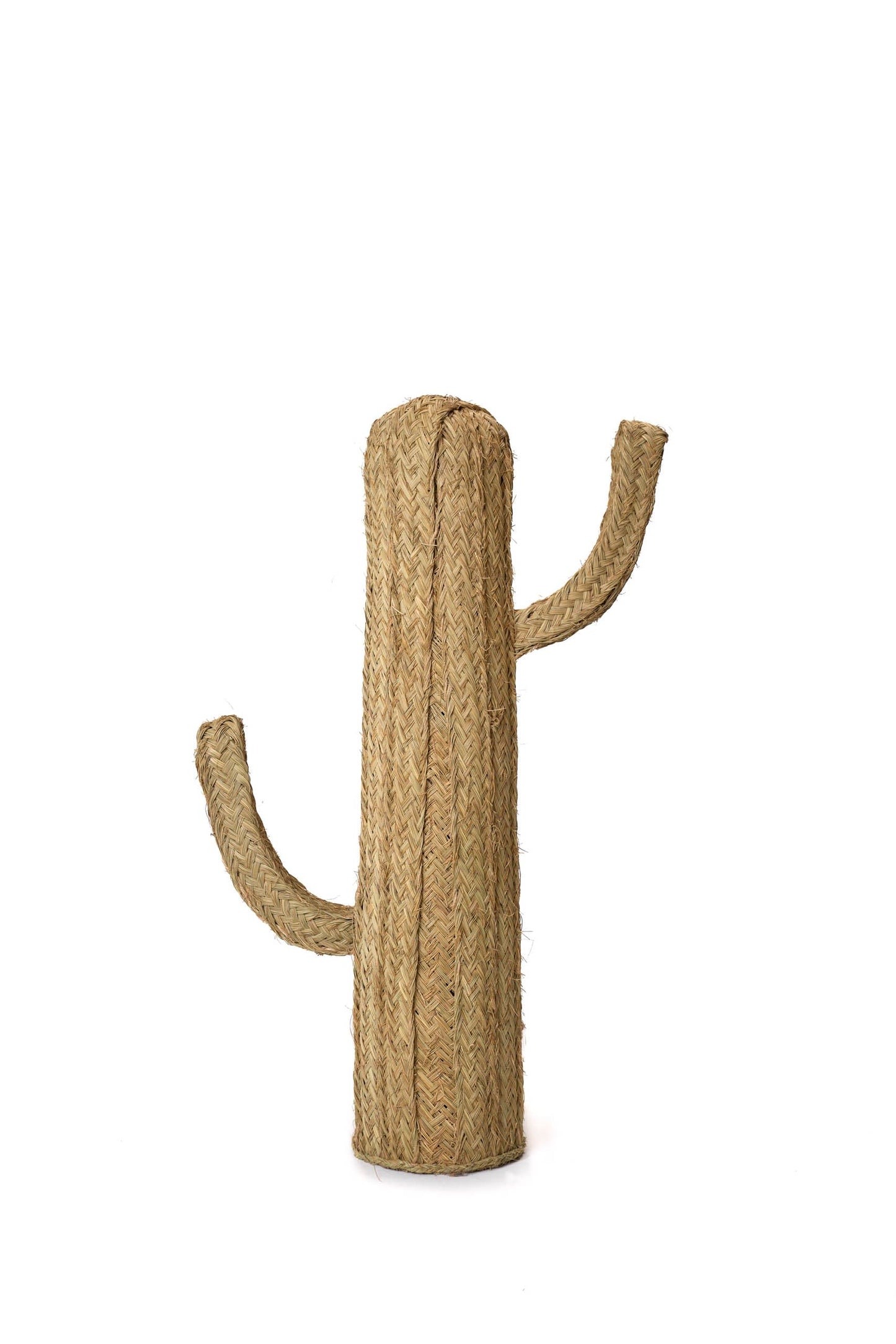 Cactus de Esparto - Jarapa Home