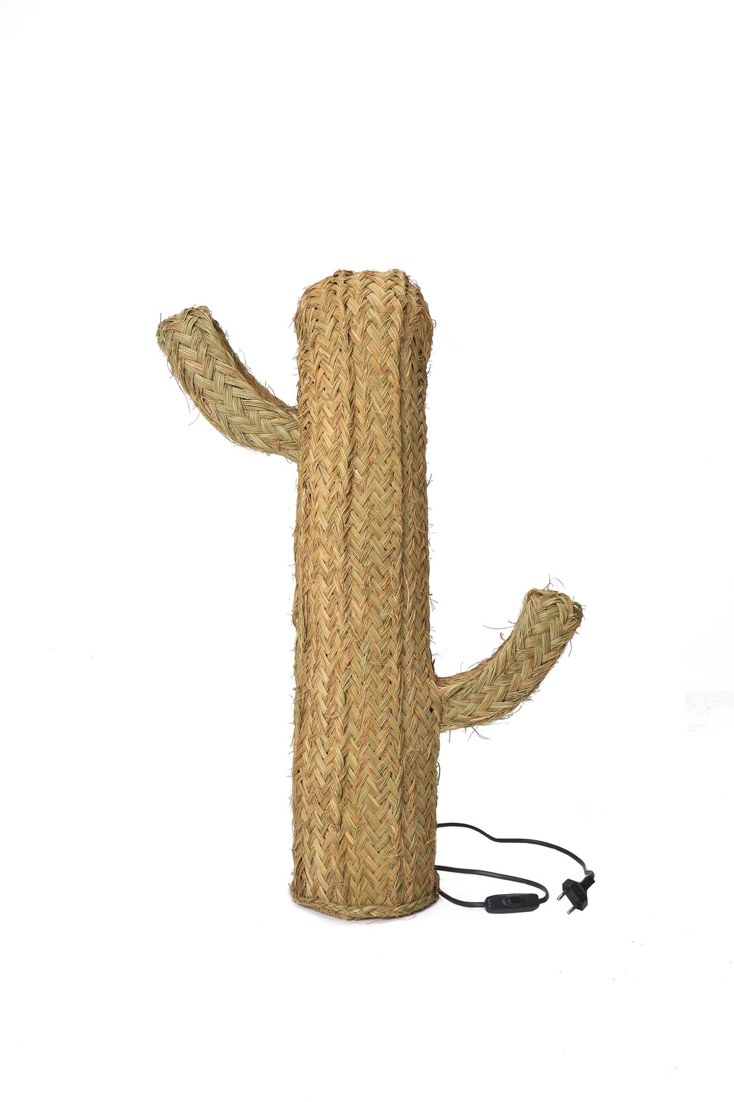 Cactus Led - Jarapa Home