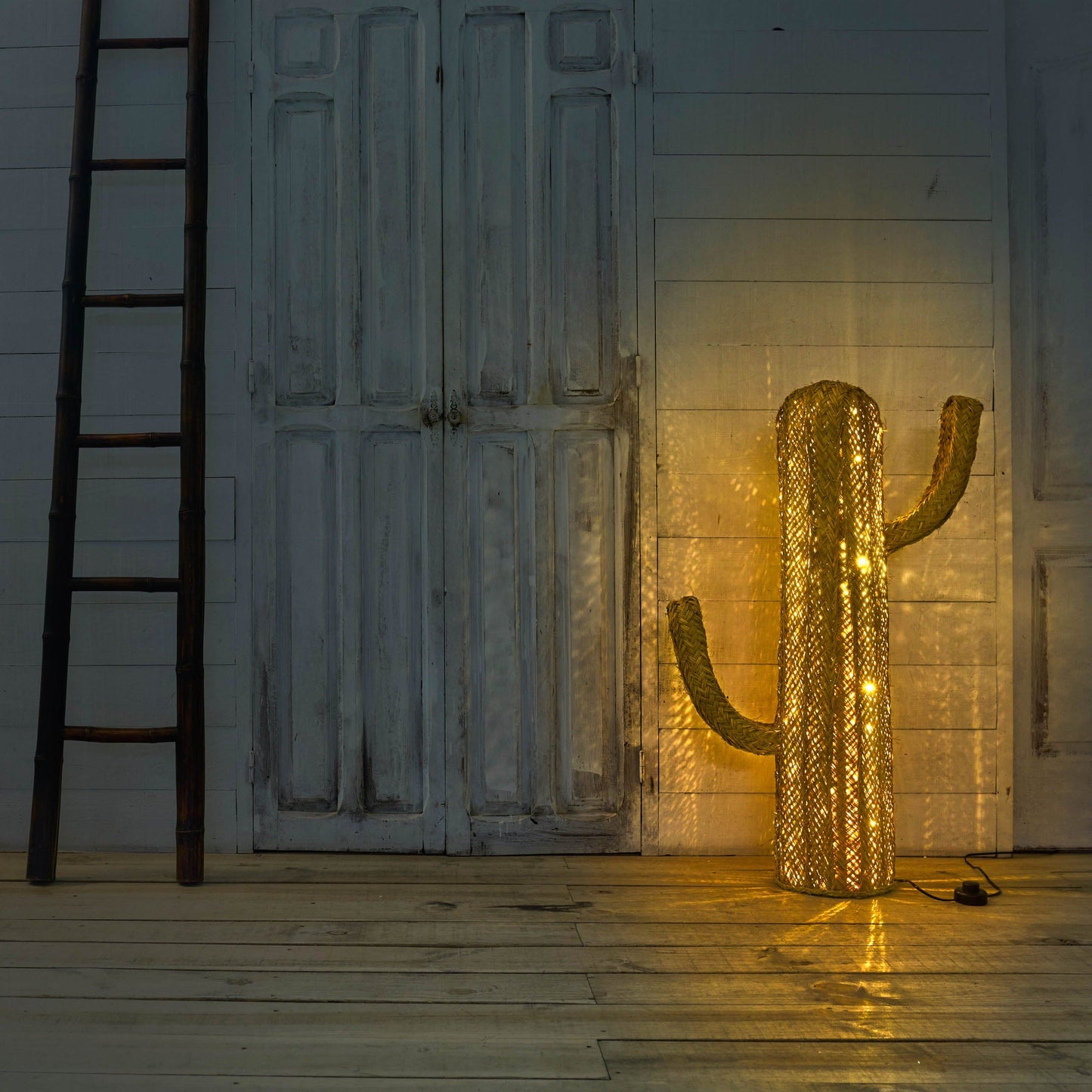 Cactus Led - Jarapa Home