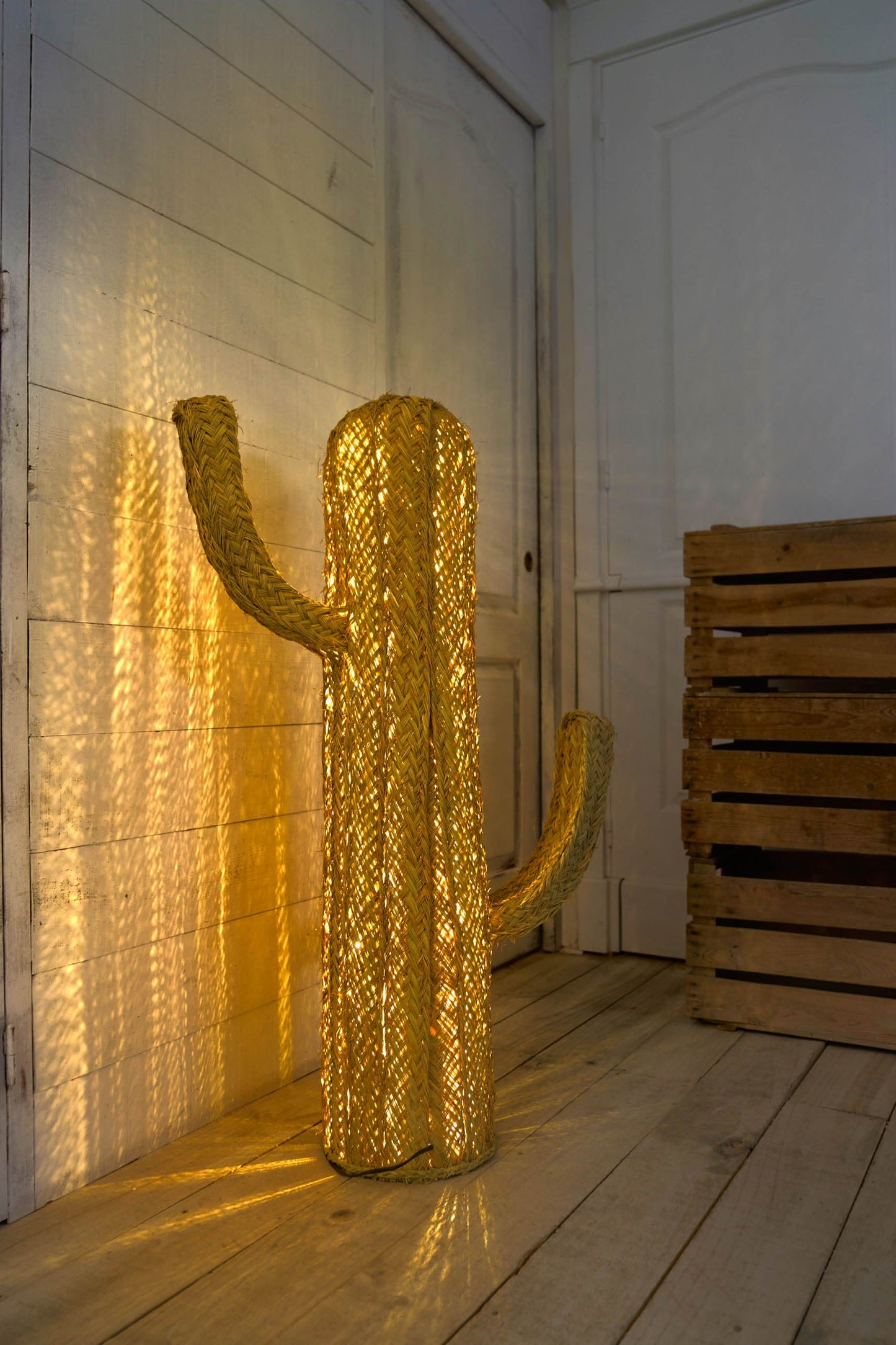 Cactus Led - Jarapa Home