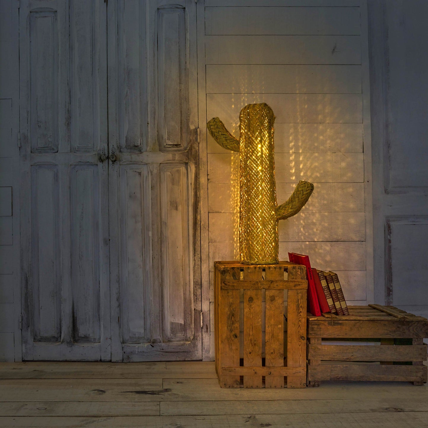 Cactus Led - Jarapa Home